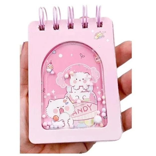 Mini Diary Set of 2