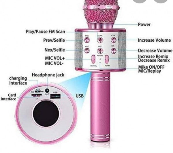 Mic With Speaker WS858